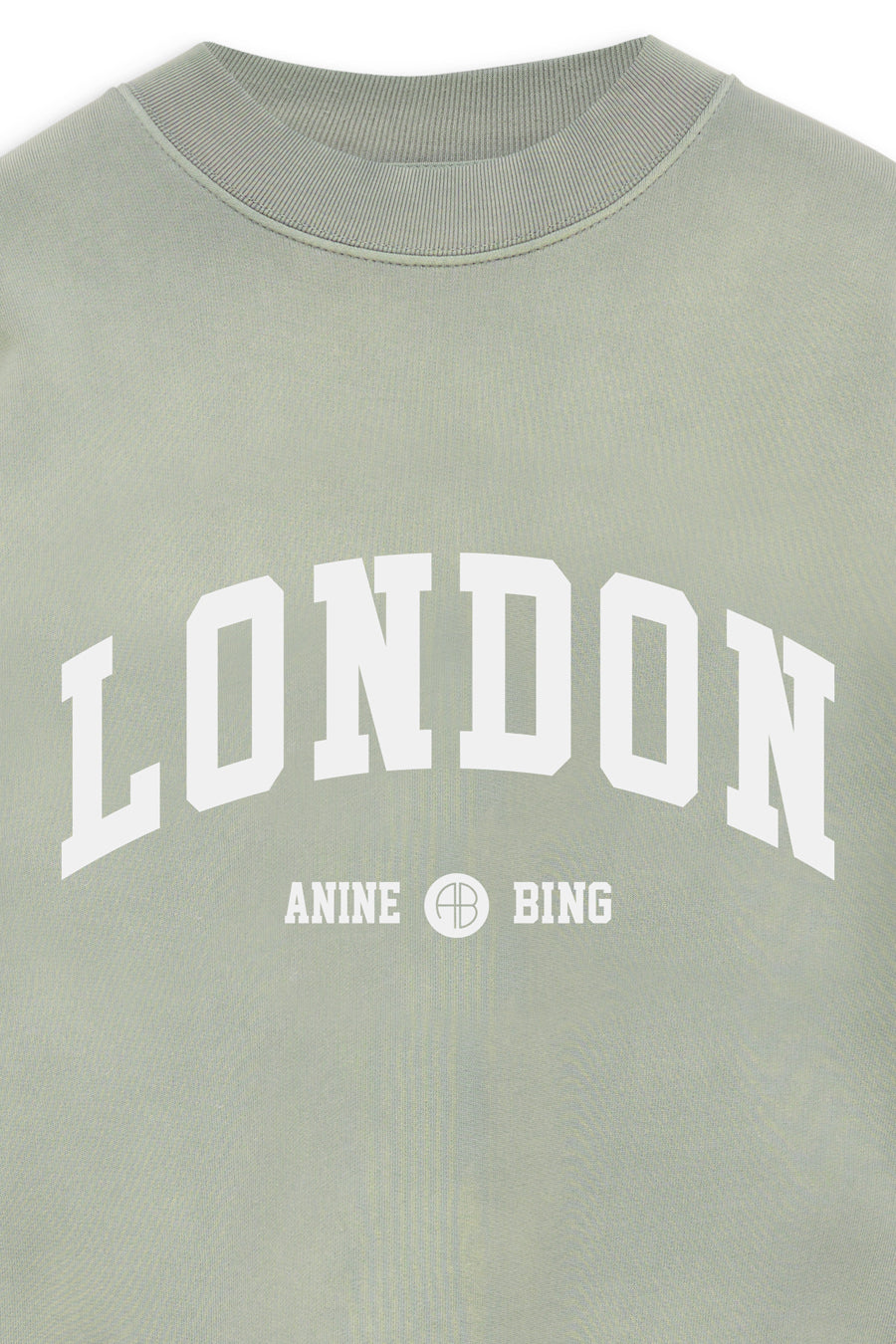 Anine Bing Jaci Sweatshirt University London in Washed Faded