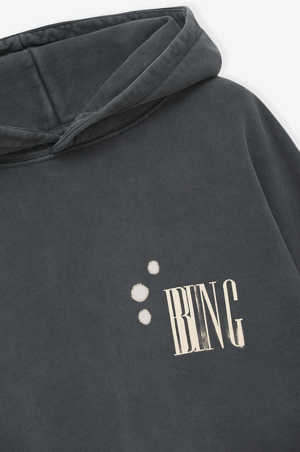 Anine Bing - Alec Hoodie Bing Bleached in Faded Black